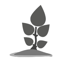 Grow Tree Icon