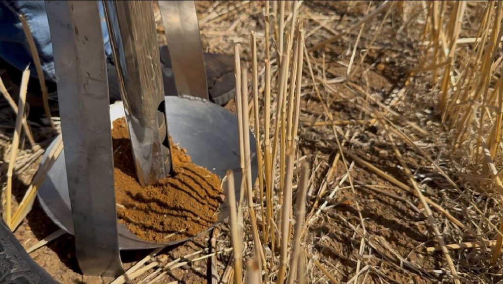 Soil and Tissue Testing